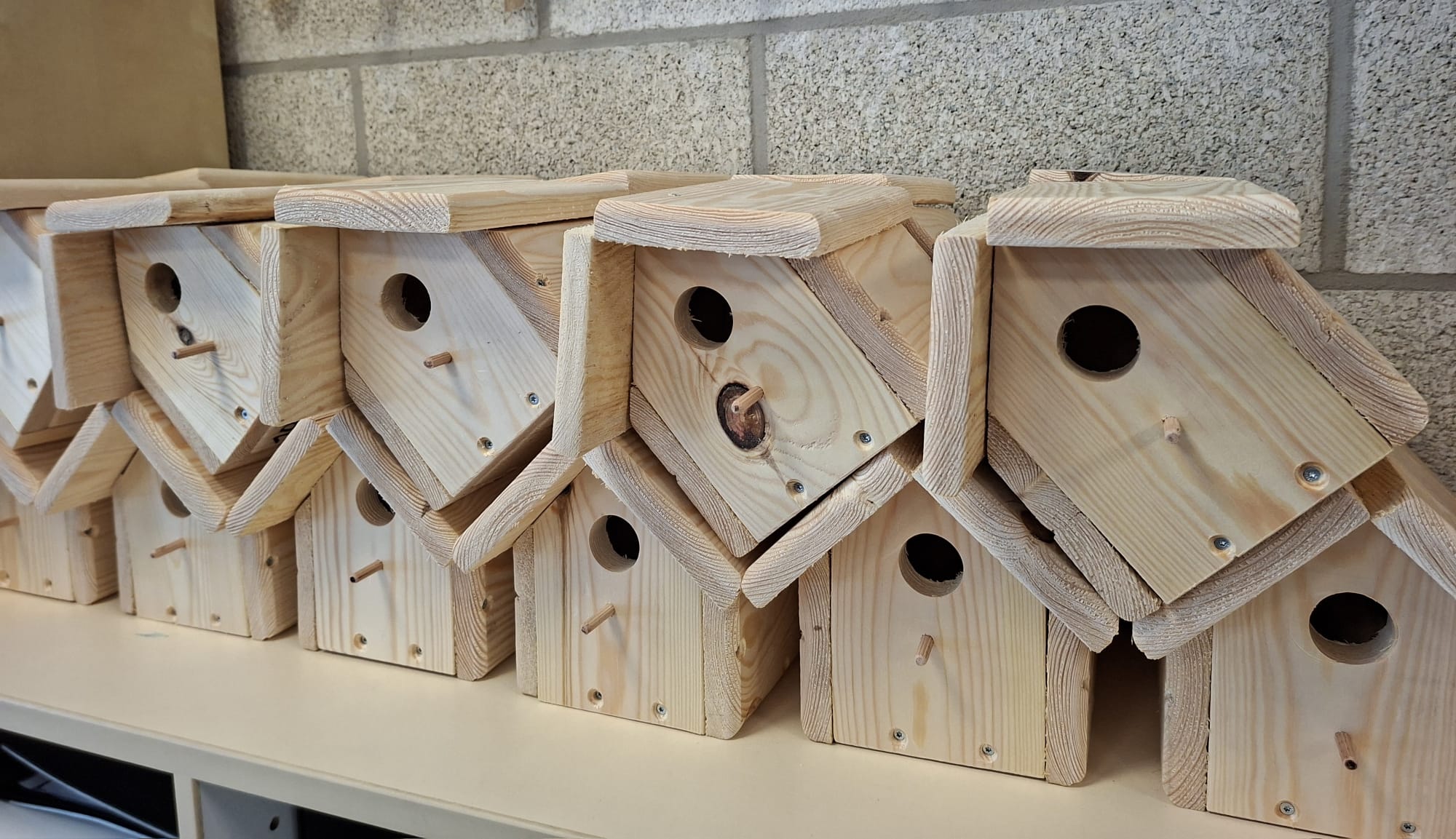 WhatsApp Image 2026-01-16 at 13.41.24 (4)